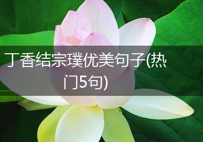 丁香结宗璞优美句子(热门5句)
