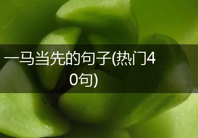 一马当先的句子(热门40句)