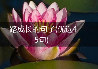 一路成长的句子(优选45句)