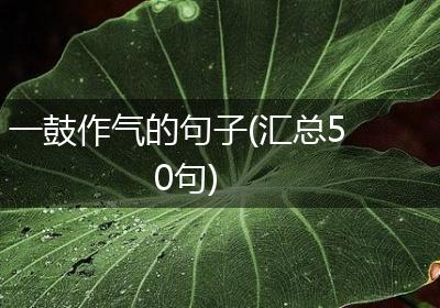 一鼓作气的句子(汇总50句)