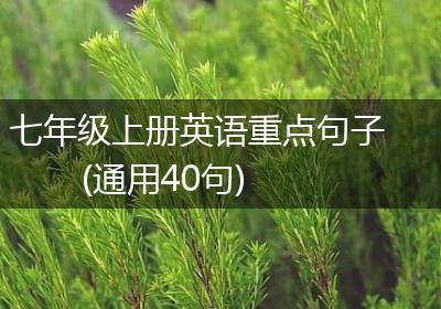 七年级上册英语重点句子(通用40句)