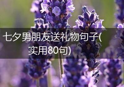 七夕男朋友送礼物句子(实用80句)
