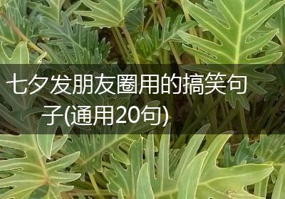 七夕发朋友圈用的搞笑句子(通用20句)
