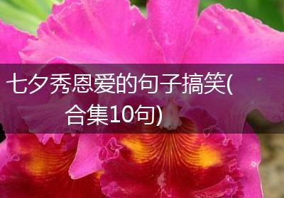 七夕秀恩爱的句子搞笑(合集10句)