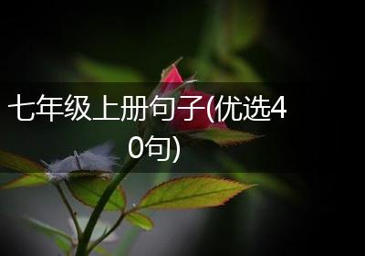 七年级上册句子(优选40句)