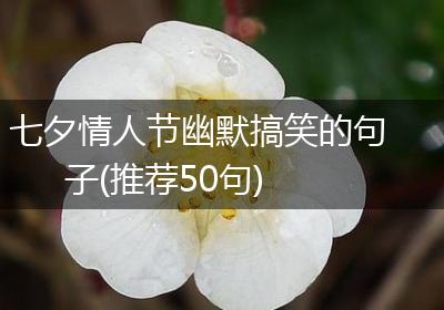 七夕情人节幽默搞笑的句子(推荐50句)