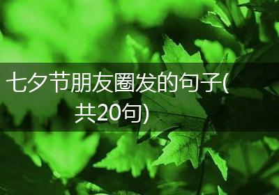 七夕节朋友圈发的句子(共20句)