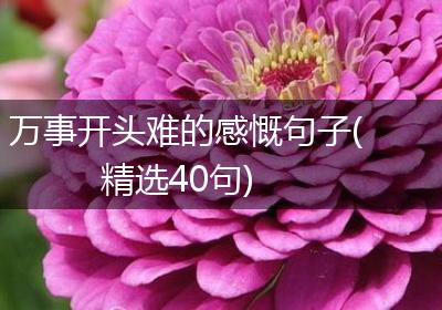万事开头难的感慨句子(精选40句)