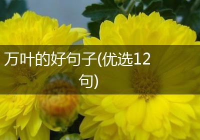 万叶的好句子(优选12句)