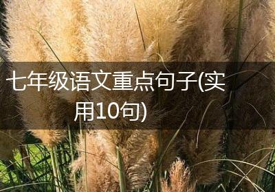 七年级语文重点句子(实用10句)