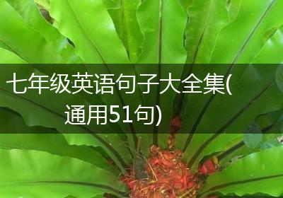七年级英语句子大全集(通用51句)