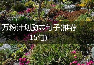 万粉计划励志句子(推荐15句)