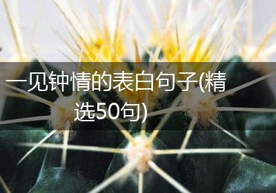 一见钟情的表白句子(精选50句)