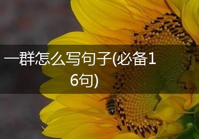 一群怎么写句子(必备16句)