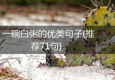 一碗白粥的优美句子(推荐71句)