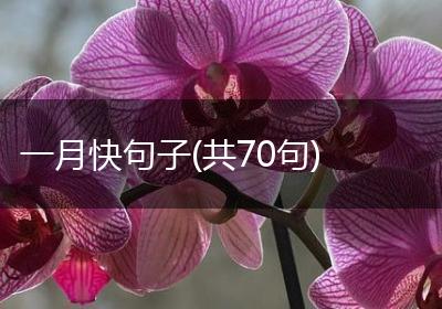 一月快句子(共70句)