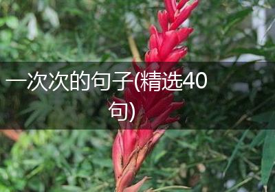 一次次的句子(精选40句)