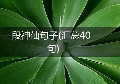 一段神仙句子(汇总40句)