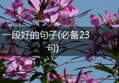 一段好的句子(必备23句)