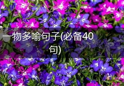 一物多喻句子(必备40句)