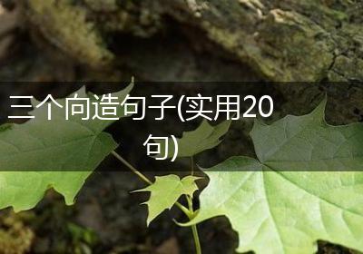 三个向造句子(实用20句)