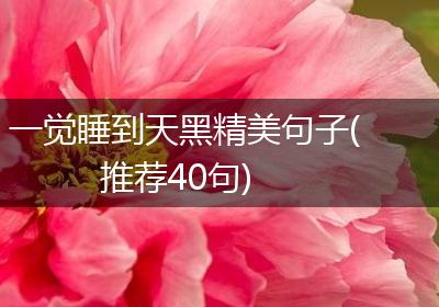 一觉睡到天黑精美句子(推荐40句)