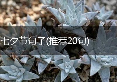 七夕节句子(推荐20句)