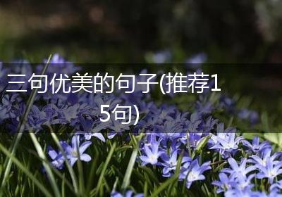 三句优美的句子(推荐15句)
