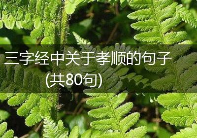 三字经中关于孝顺的句子(共80句)
