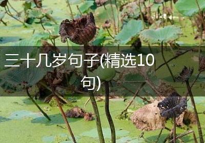 三十几岁句子(精选10句)