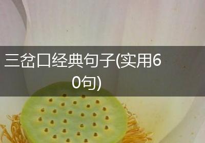 三岔口经典句子(实用60句)