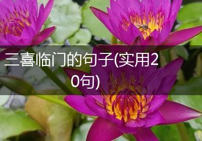 三喜临门的句子(实用20句)