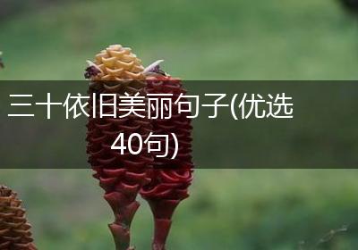 三十依旧美丽句子(优选40句)