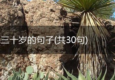 三十岁的句子(共30句)