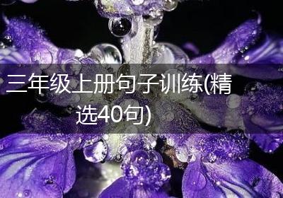 三年级上册句子训练(精选40句)