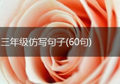 三年级仿写句子(60句)