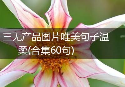 三无产品图片唯美句子温柔(合集60句)