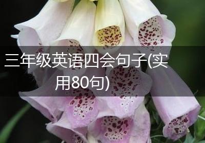 三年级英语四会句子(实用80句)