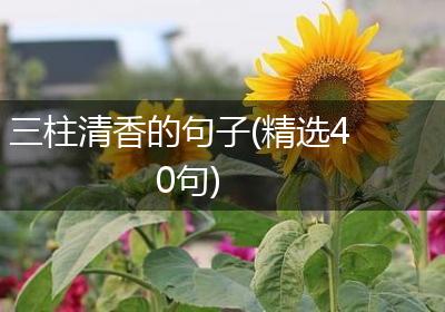 三柱清香的句子(精选40句)