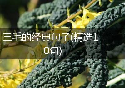 三毛的经典句子(精选10句)