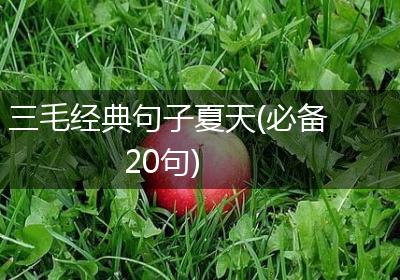 三毛经典句子夏天(必备20句)