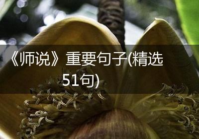 《师说》重要句子(精选51句)