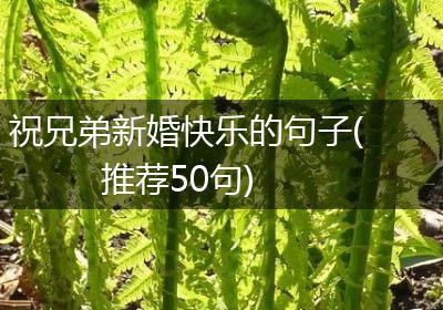 祝兄弟新婚快乐的句子(推荐50句)