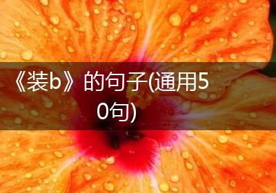 《装b》的句子(通用50句)