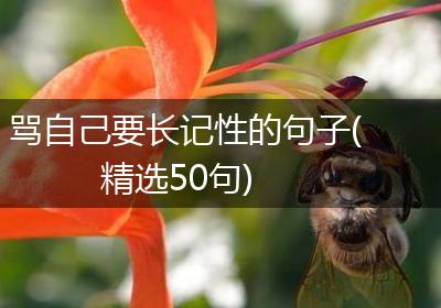 骂自己要长记性的句子(精选50句)