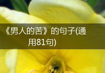 《男人的苦》的句子(通用81句)