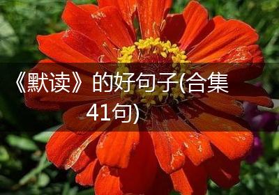 《默读》的好句子(合集41句)