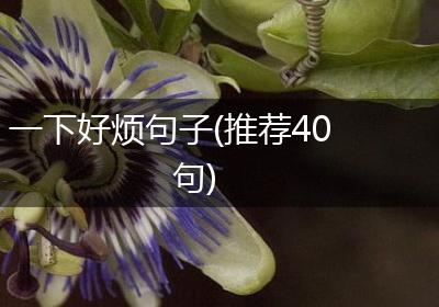 一下好烦句子(推荐40句)