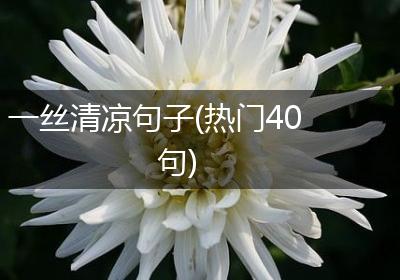 一丝清凉句子(热门40句)