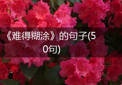 《难得糊涂》的句子(50句)